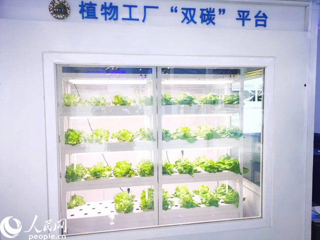 財(cái)經(jīng)觀察 激發(fā)創(chuàng)新源頭活力，科技賦能數(shù)字內(nèi)容，讓生活更精彩